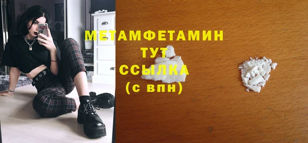 прущие грибы Мегион