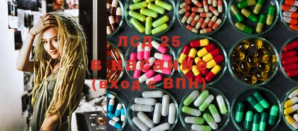 прущие грибы Мегион