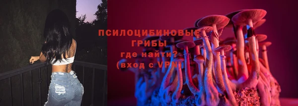 шишки Медногорск