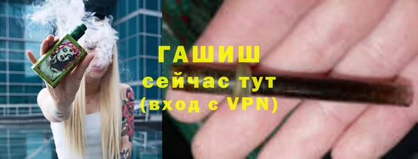 шишки Медногорск