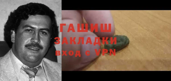прущие грибы Мегион