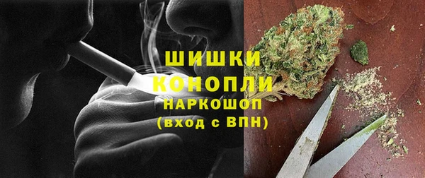 шишки Медногорск