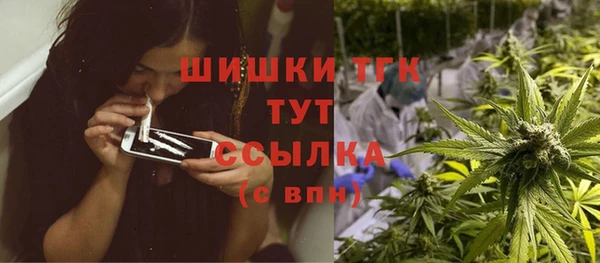 шишки Медногорск