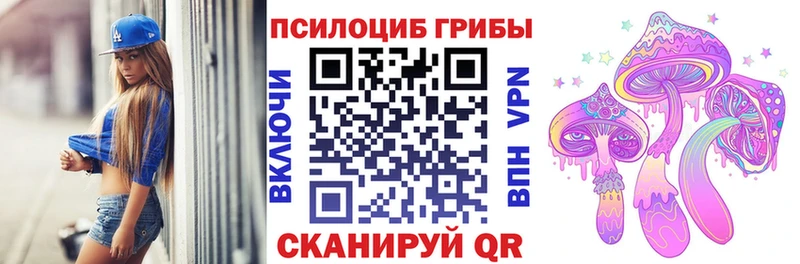 Псилоцибиновые грибы мицелий  блэк спрут tor  Одинцово 